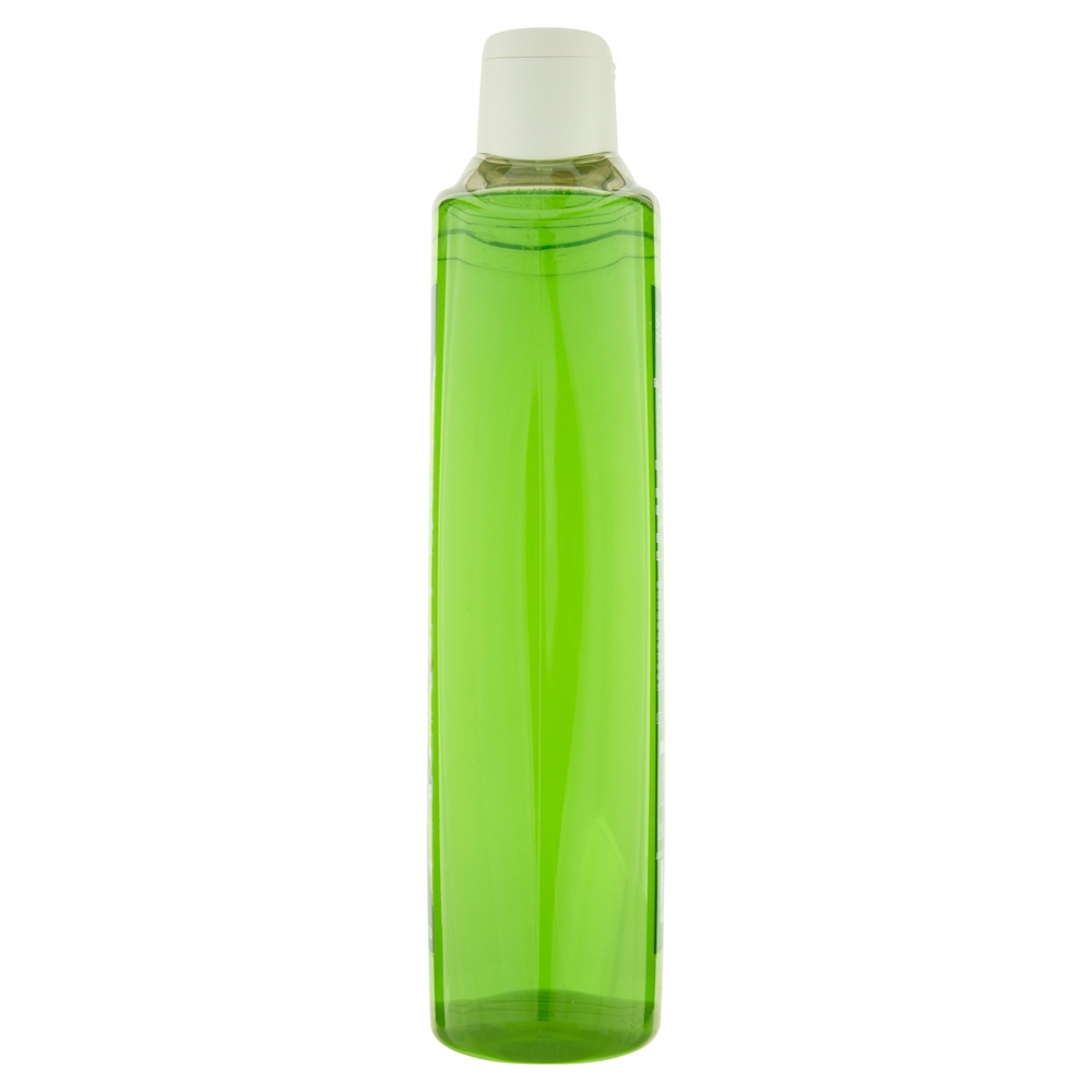 Jacklon Bagno Doccia con gel d'Aloe e Zenzero 1000 ml